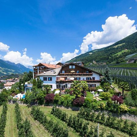 Pension Zum Burggraefler 思科纳 外观 照片