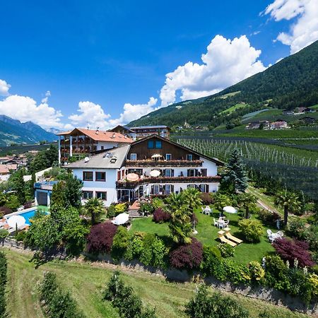 Pension Zum Burggraefler 思科纳 外观 照片