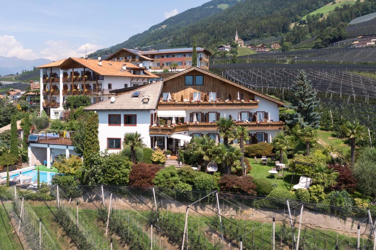 Pension Zum Burggraefler 思科纳 外观 照片