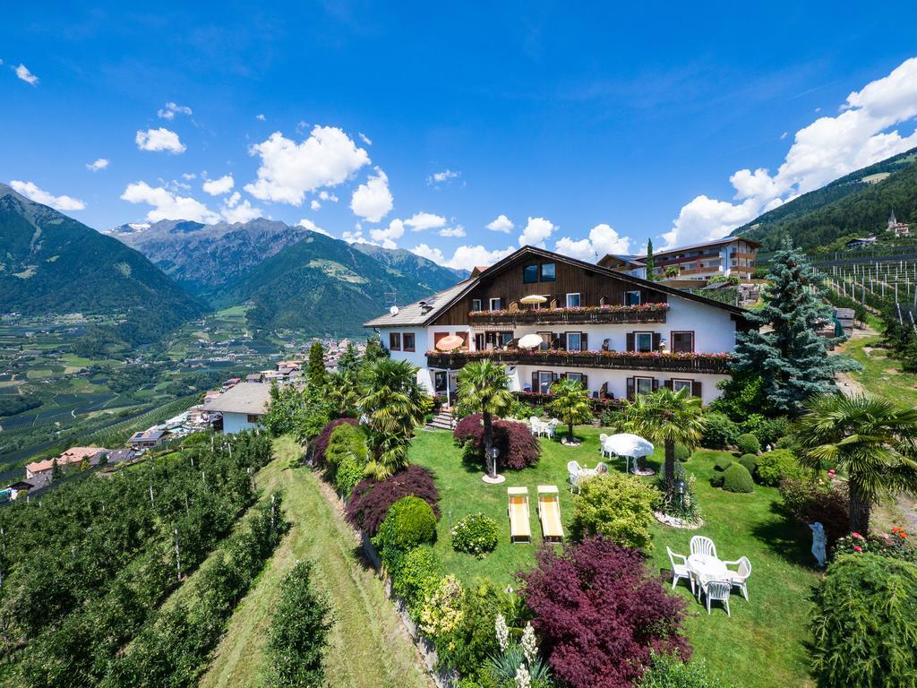 Pension Zum Burggraefler 思科纳 外观 照片