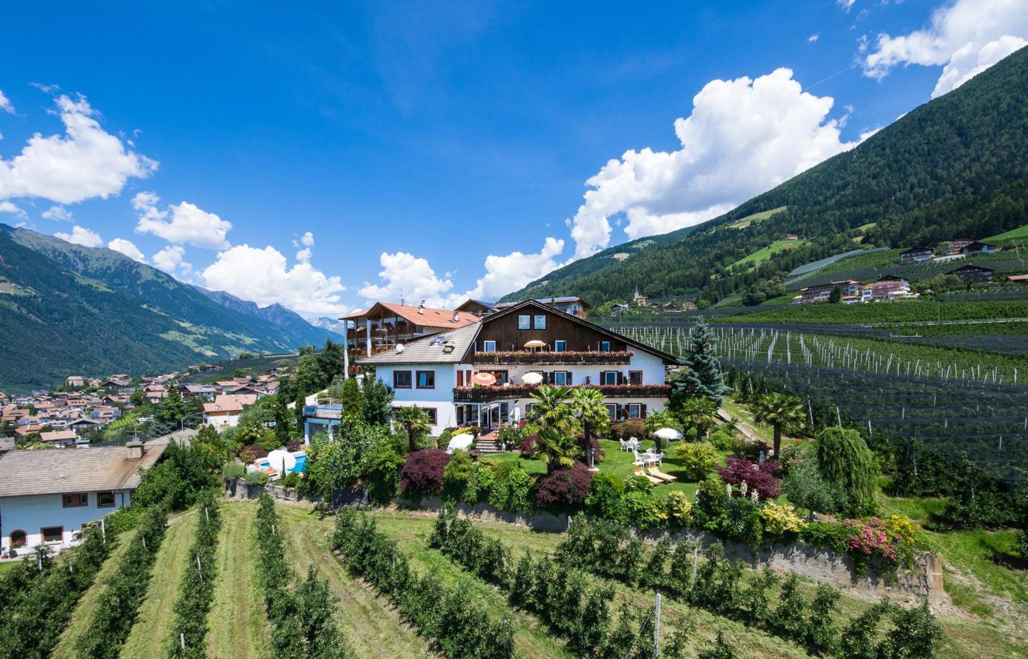 Pension Zum Burggraefler 思科纳 外观 照片
