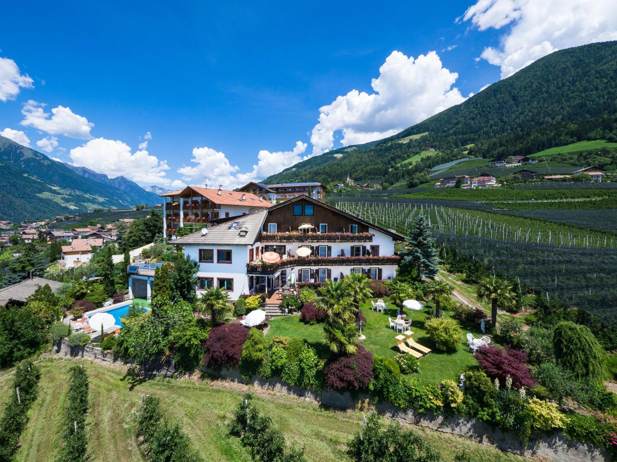 Pension Zum Burggraefler 思科纳 外观 照片