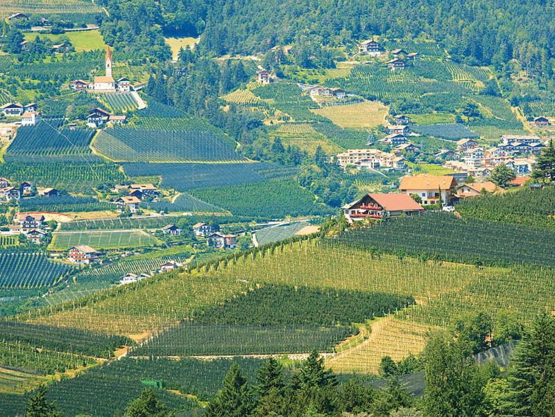 Pension Zum Burggraefler 思科纳 外观 照片